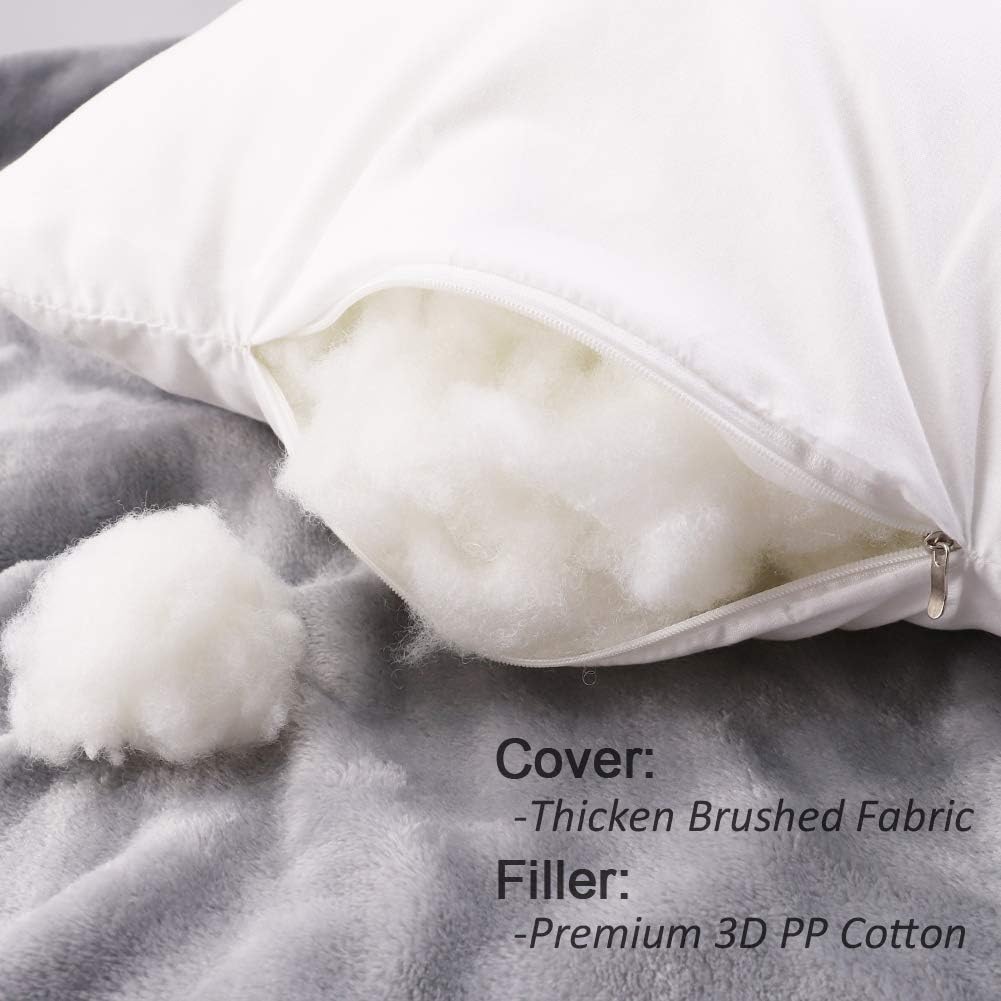 HIPPIH 20 x 20 Inch Pillow Inserts (Set of 2), Decorative Throw Pillow Inserts, Hypoallergenic Square Pillow Form Insert with Zips, Upgraded: Home & Kitchen