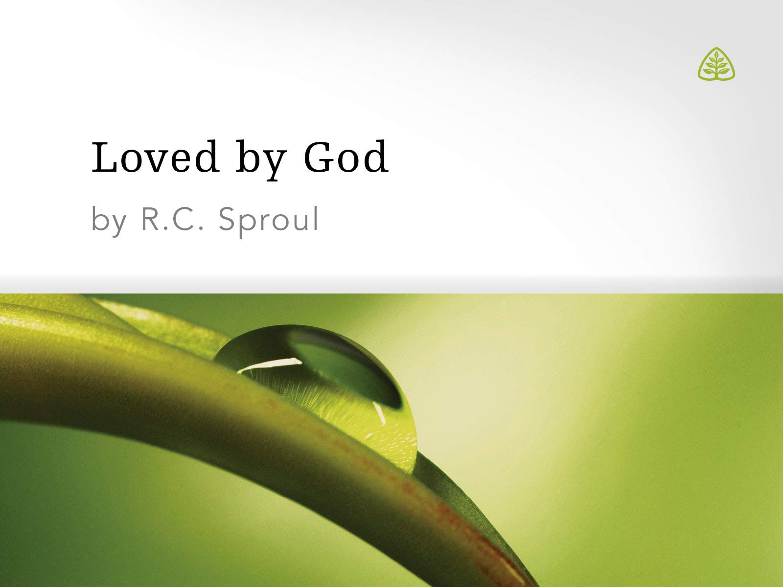 Watch Loved By God Prime Video