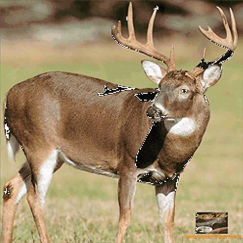Infinity Target Face Deer 32x32