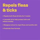 Bob Martin Clear Spot On Flea and Tick Repellent for Cats and Kittens 1 Pipette view 3