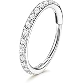 TupMi Titanium Nose Rings Hoops 20G Cartilage Hoop Earrings for Women Men CZ Hinged Segment Septum Lip Helix Septum Ring Nose Piercing Jewelry 6/8/10mm