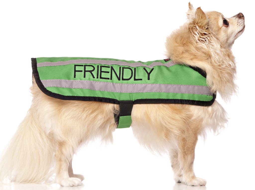 Dexil FRIENDLY (Known as Friendly to all) Green Colour Coded S M L Reflective Waterproof Fleece Lined Warm Dog Coats PREVENTS Accidents By Warning Others Of Your Dog In Advance (S)