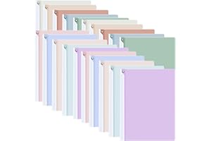 iGolife Lot de 20 couvertures de rapport avec clip pivotant, dossiers de présentation pour papier A4 et format lettre, couver