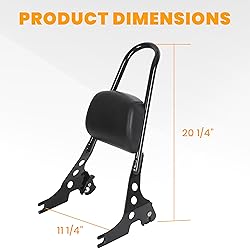 ECOTRIC Detachable Sissy Bar with Backrest