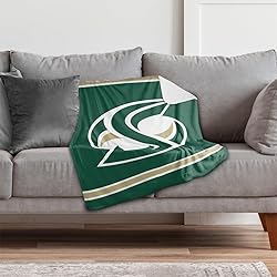 Sacramento State University Primary Logo Stripes
