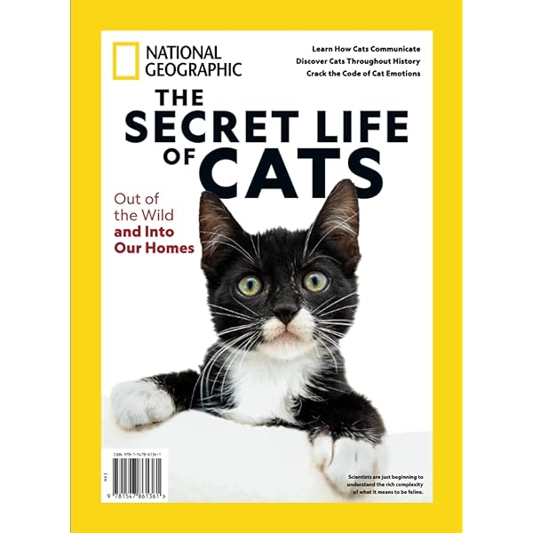 It's a Cat's Life: Anitra Frazier, Norma Eckroate, Cris Arbo