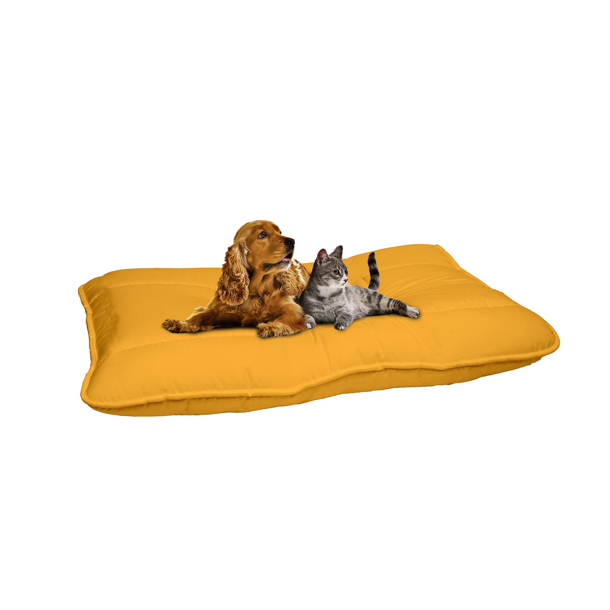 Stripey Finds Dogs Maxy Pillow 60x100cm, Yellow