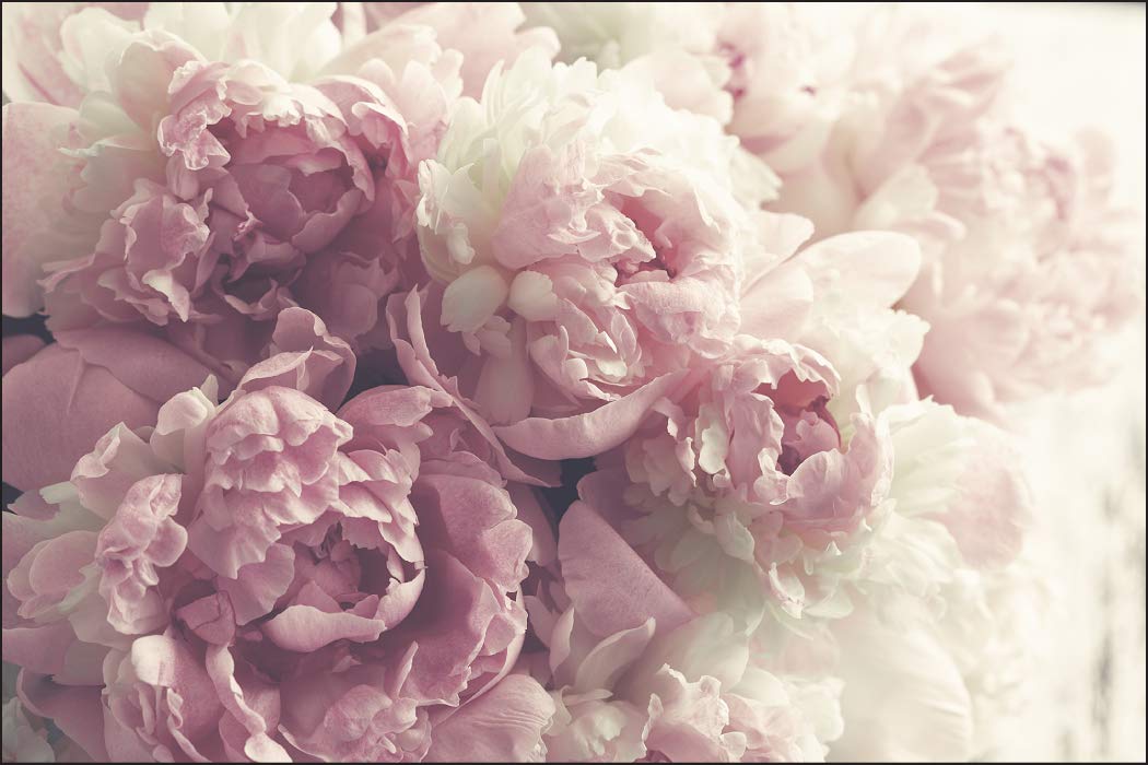 Muralo 1116723083 Photographic Wallpaper Blossoming Peonies Classic Botany Peony Natural Hö. 120 x Br. 180 cm- 2 Bahnen multicoloured