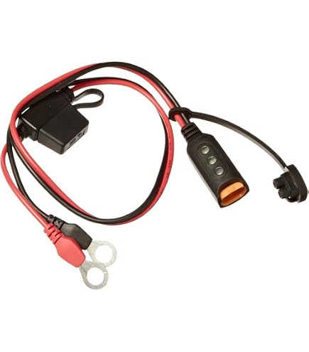 Amazon.com: CTEK D250SE, 20A, 12V Battery Charger For Starter And