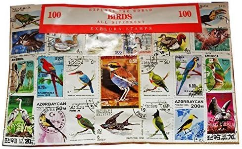 Worldwide Bird Birds Stamp Collection Souvenir! Ornithology / Owls / Parrots 100 Stamps