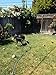 WATERBONE: First Water Sprinkler for Dogs!