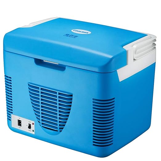 BingxiangWW Refrigerador para Autos De 10 litros, Refrigerador ...