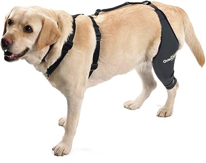 dog acl brace amazon
