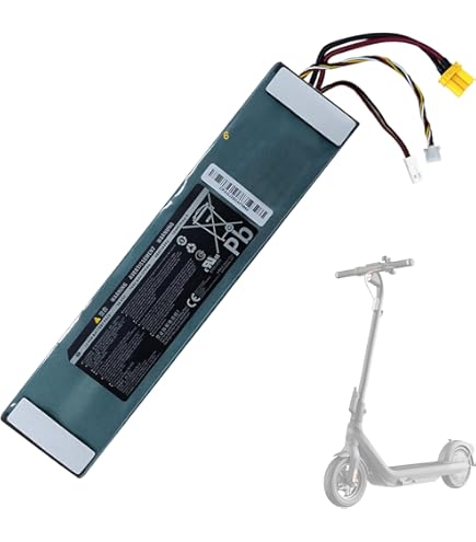 Amazon.com: PAOWANG 21.6V 2550mAh Electric Scooter Battery
