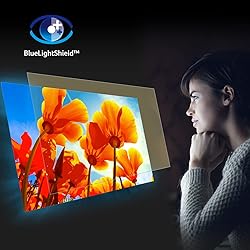 Acer K202Q bi 19.5-inch Professional