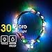 LIDORE Micro 30 Multi color LED String Lights with 8 modes. Waterproof series. 3AA Battery Operated