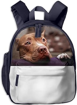 pitbull backpack