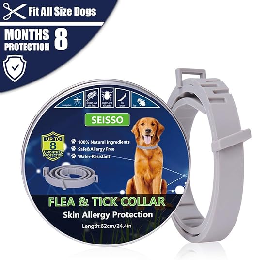 essential oil collar for dogs