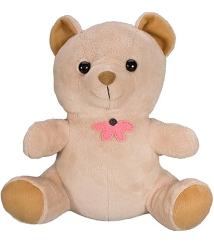 Amazon.com : SC70024K - Xtremelife 2160P DVR Teddy Bear : Electronics