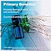 doTERRA - Peace Essential Oil Reassuring Blend - Promotes Feelings of Peace, Reassurance, and Contentment, Counteracts Negative Emotions; For Diffusion or Topical Use - 5 milliliter