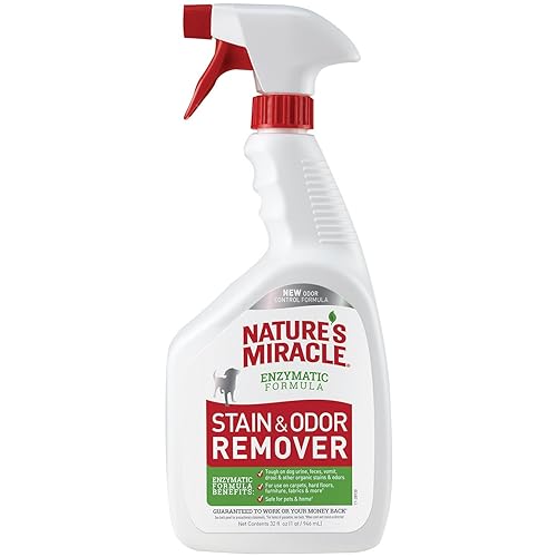 Best Enzyme Based Cleaners 10Reviewz