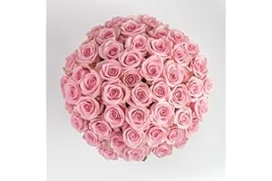 GlobalRose 100 Pink Roses Bouquet - Responsibly Sourced Roses Fresh Flowers - Hand-Picked Flowers Fresh Bouquet for Graduation, Anniversary, Birthday & Special Occasions (4 Bunches of 25 Stems)