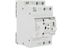 BESILO Mini ATS Automatic Transfer Switch 2P 63A 110V, Dual Power Automatic/Manual Transfer Switch for Generator and Home Power Backup, Fast Switching DIN Rail Mounted Changeover Switch AC 50/60Hz