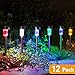 Wellgium Solar Lights Outdoor - Garden Landscape Pathway Lights for Lawn Patio - Stainless Steel, 12 Pack (6 Colors)