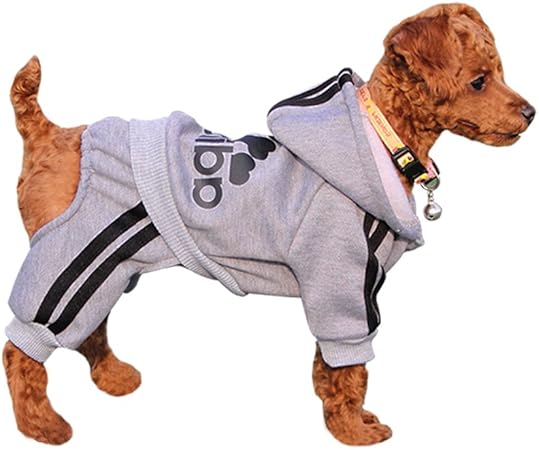 amazon dog coats with legs