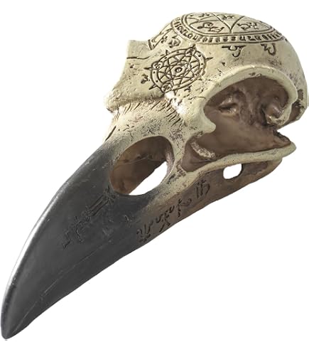 Amazon.com: Alchemy Gothic The Vault Large Metalized Colored Skull