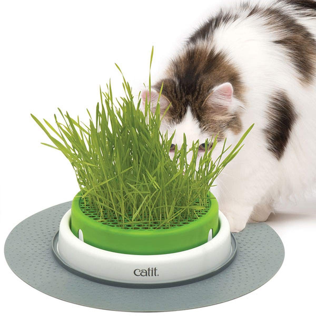 Catit Senses 2.0 Grass Planter