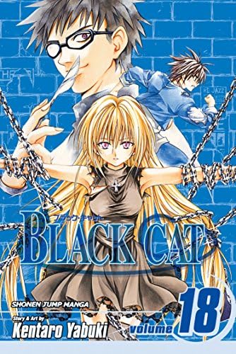 Black Cat, Vol. 7: Time For Vengeance: Yabuki, Kentaro
