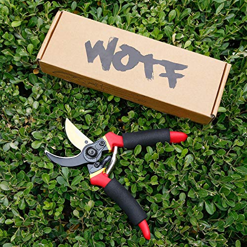 WOTF Pruning Garden Shear, Premium Titanium Garden Clippers Scissors, Professional 8'' Tree Trimmers with Sponge Handle Protector for Man/Women.