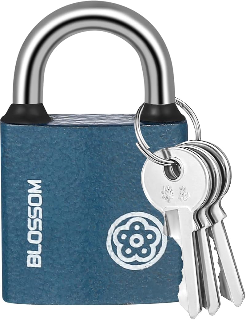 RosewineC Heavy Duty Padlock 38MM Iron Padlock with 3 Keys Weatherproof