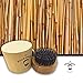 The Beardman Beard Brush- 100% Boar Bristles - With a a Beautiful Wodden Gift Box (Round Beard Brush with Travel Case)