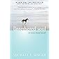 The Untethered Soul: The Journey Beyond Yourself