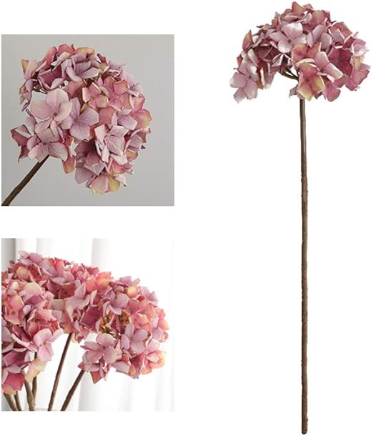 Amazon Ammbous ドライフラワー 花 観葉植物 フラワーギフト 絹の人造花 結婚式のパーティー装飾造花 装飾花 フラワーアレンジメントのための人工牡丹 人工アジサイ 装飾用の花 結婚式の花の装飾 ナチュラル 綺麗 5色 ドライフラワー オンライン通販