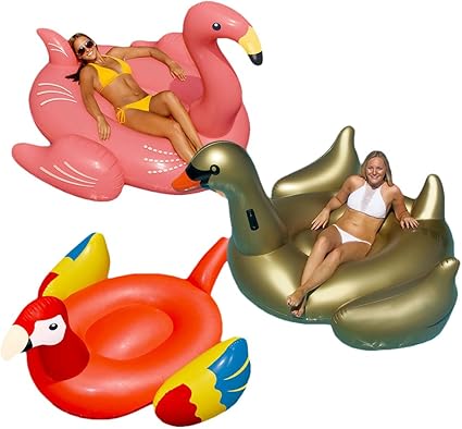 bird pool float