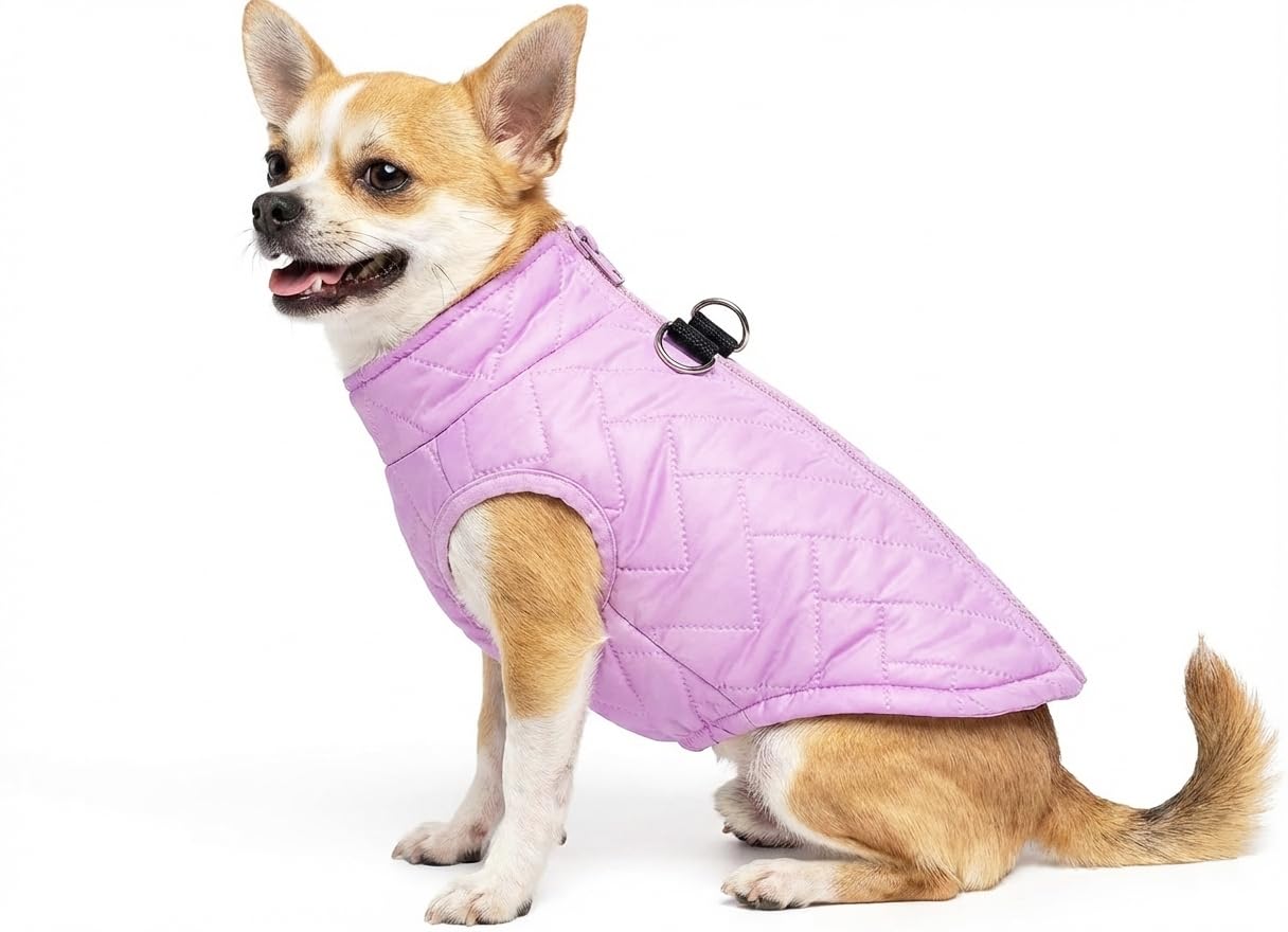 Small Dog Coats Warm Winter Coat Pet Dog Jackets Waterproof Clothes for Small Medium Dogs