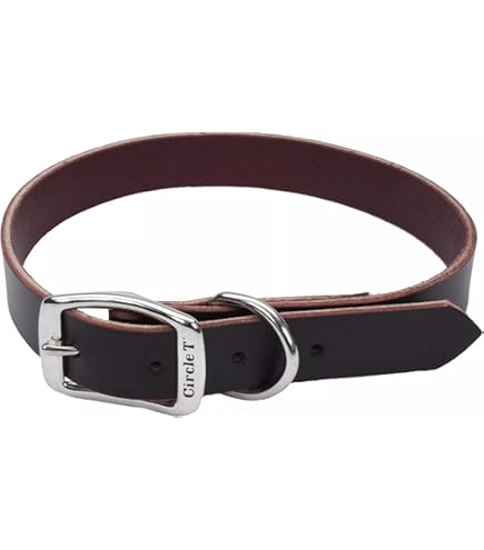 Amazon.com : Coastal Pet - Circle T - Latigo Leather Round Dog