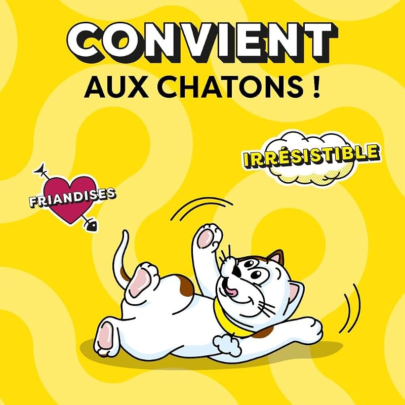 Friandises pour chat au Goût Fromage - Lot de 6 Sachets de 60g - Récompenses Pour Chats Adultes et Chatons