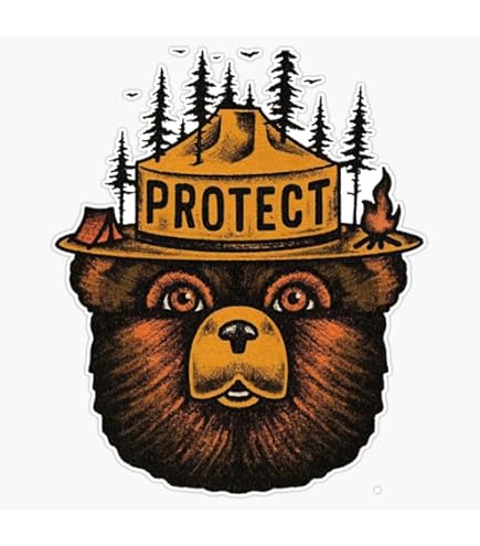 3-Pack Socialism Bear MAGA Stickers - 3x4 Inch Die-Cut Decals For Laptop & Car