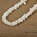 LOLIAS Hawaiian Seashell Necklace for Men Women Chip Chain Necklace Screw Clasp 18 Inches