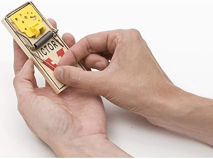 Victor Easy Set Mouse Traps That Work Pack Of 4 Effective Pest Control Indoors Outdoors M032 Amazon Co Uk Garden Outdoors