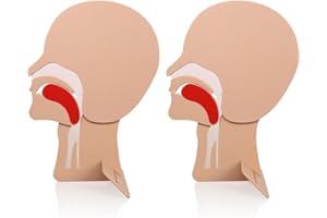 2 Packs CPR Head Section Model, XFT Model of Head for First Aid Training AED Training Kit Accessory CPR Training Equipment Accessory, for First Aid Trainee Beginner (XFT-E0002)