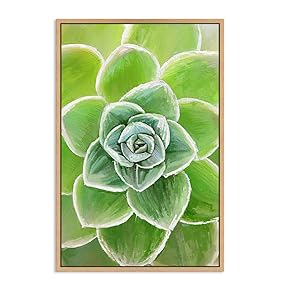 SIGNWIN Framed Canvas Wall Art Tropical Succulent Plant...