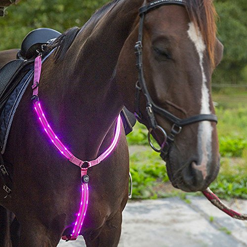 Upgraded LED Horse Breastplate Collar, USB Rechargeable Equestrian Riding Horse Bridle Halter Safety Light Horses Neck Belt Equipment Horsing Accessory - pink