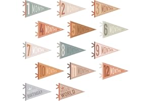 VitalCozy 14 Pcs Baby Milestone Pennant Signs Monthly Milestone Banner Flags Pennant Triangle Banner Age Flag Signs for Boy Girl Newborn Birthday Party Decor(Assorted Colors)