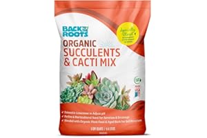 Back to the Roots 100% Organic Succulent & Cacti Mix (6 Quart) | Made in The USA | Premium Nutrition for Indoor and Outdoor Plants
