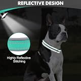 Joytale Reflective Dog Collar Medium Teal Neoprene Padded Heavy Duty Buckle view 4